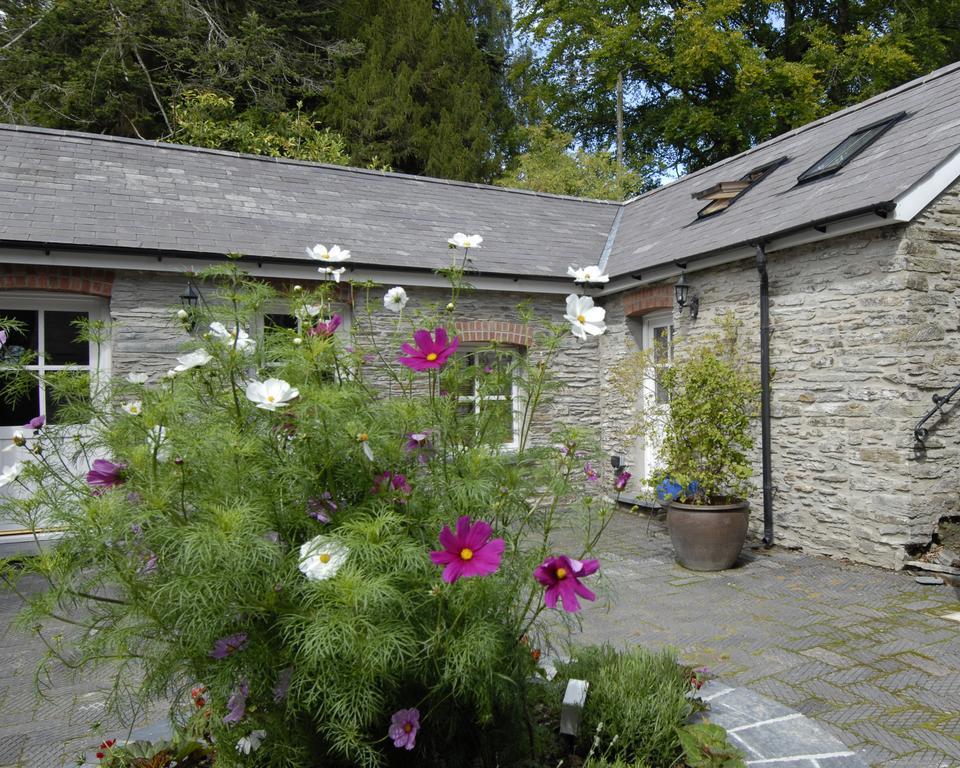 Bed and Breakfast Rhosygilwen Courtyard Cilgerran Экстерьер фото