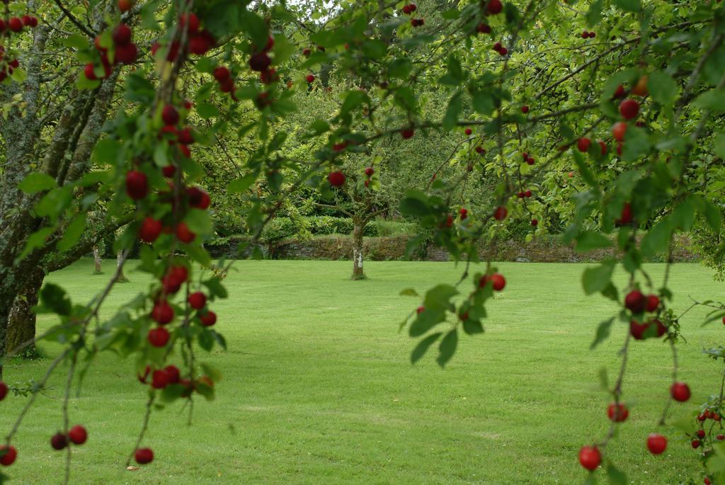 Bed and Breakfast Rhosygilwen Courtyard Cilgerran Экстерьер фото